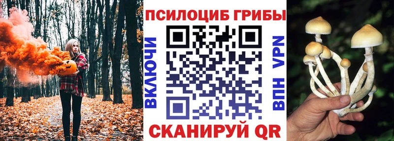 нарко площадка наркотические препараты  Дегтярск  Псилоцибиновые грибы Magic Shrooms 